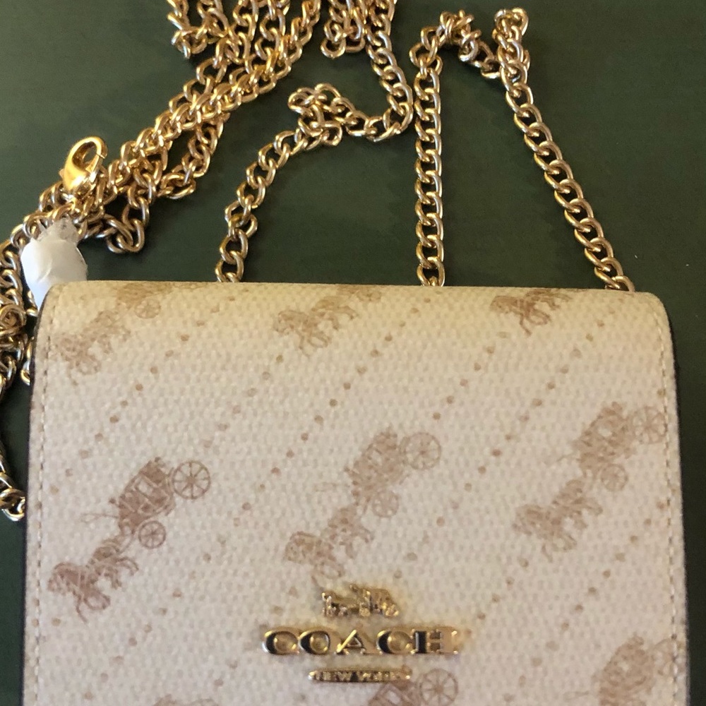 Authentic Coach wallet on a chain